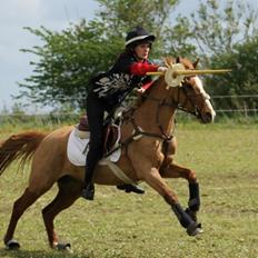 Anden særlig race Dilly 