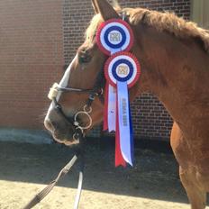 Frederiksborg Østervig frodo