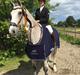 Dansk Varmblod Catalino p