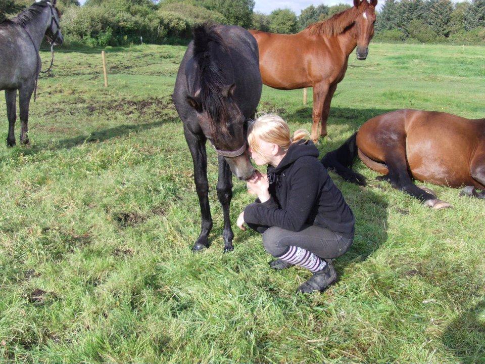 Anden særlig race Grønvangs Jocelynn |Joey| [Solgt] billede 26