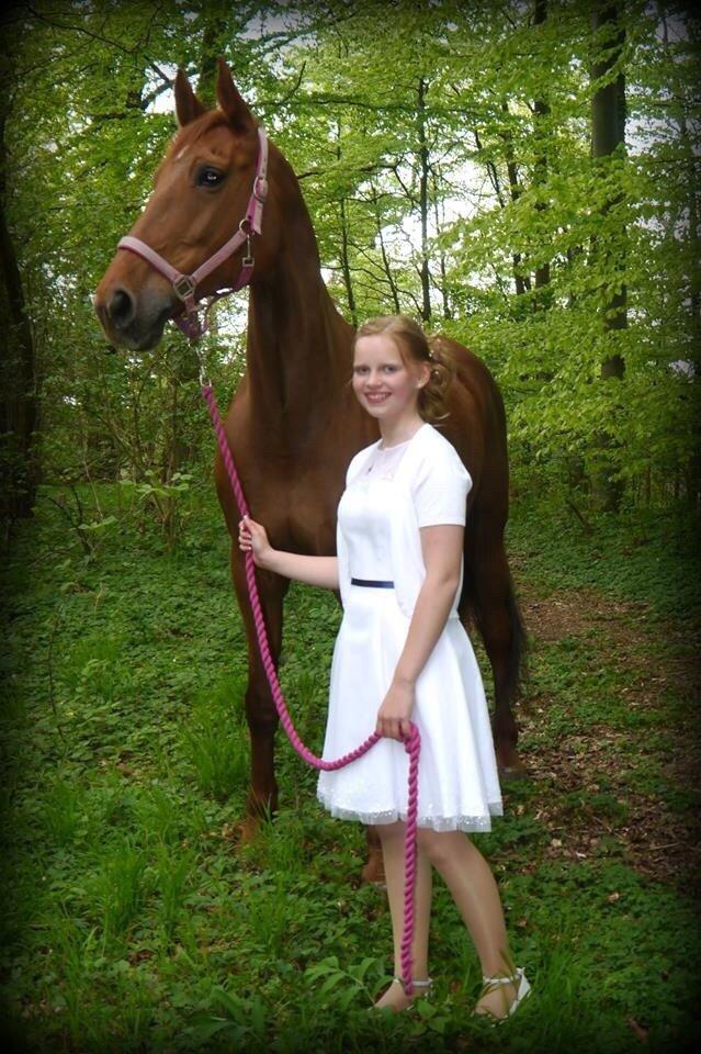 Dansk Varmblod Capella S - Konfirmation billede 12