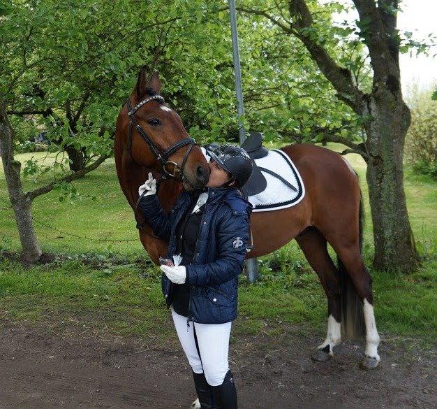 Anden særlig race Søndervangs Kentucky billede 11