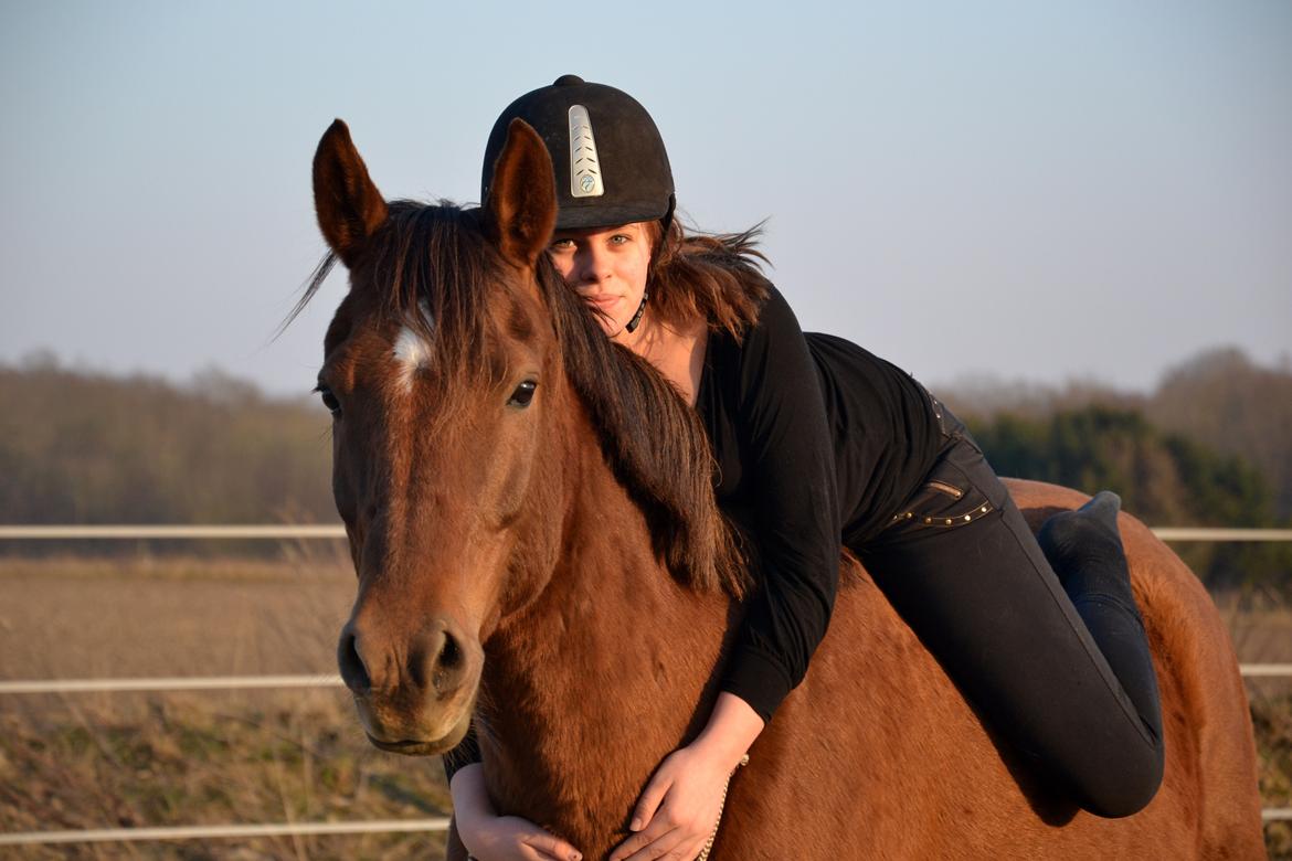 Anden særlig race Spirit billede 11