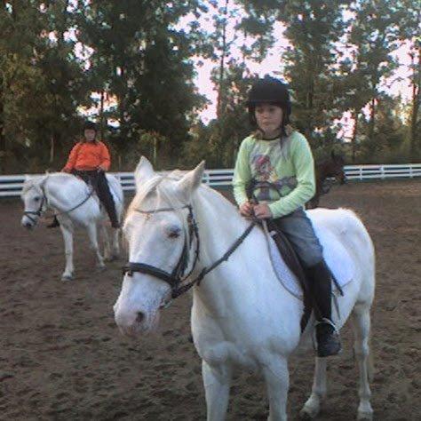 Anden særlig race Tino AFLIVET <3 - En af de første gange jeg var oppe at ride. billede taget 2005 billede 1