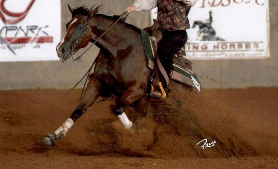 Quarter Tag This Chic - Chica i sporten i USA billede 12