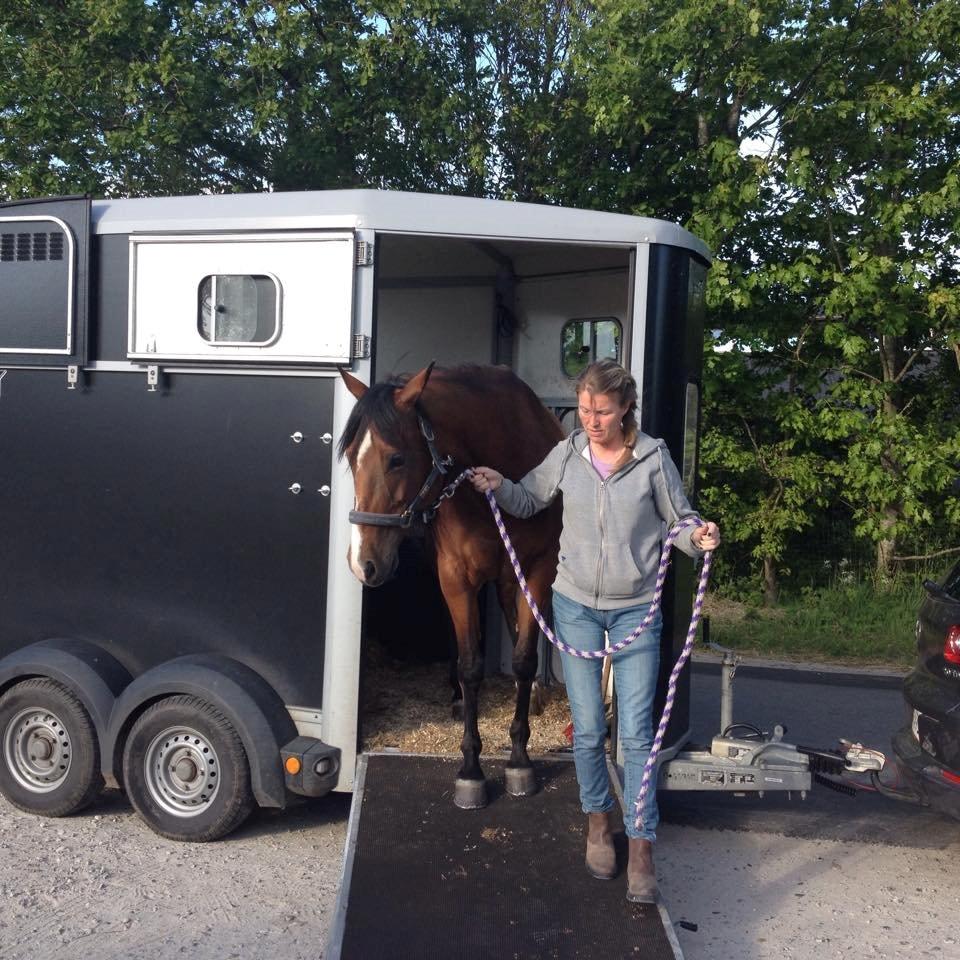 Quarter Tag This Chic - Da jeg fik hende hjem :-) billede 17