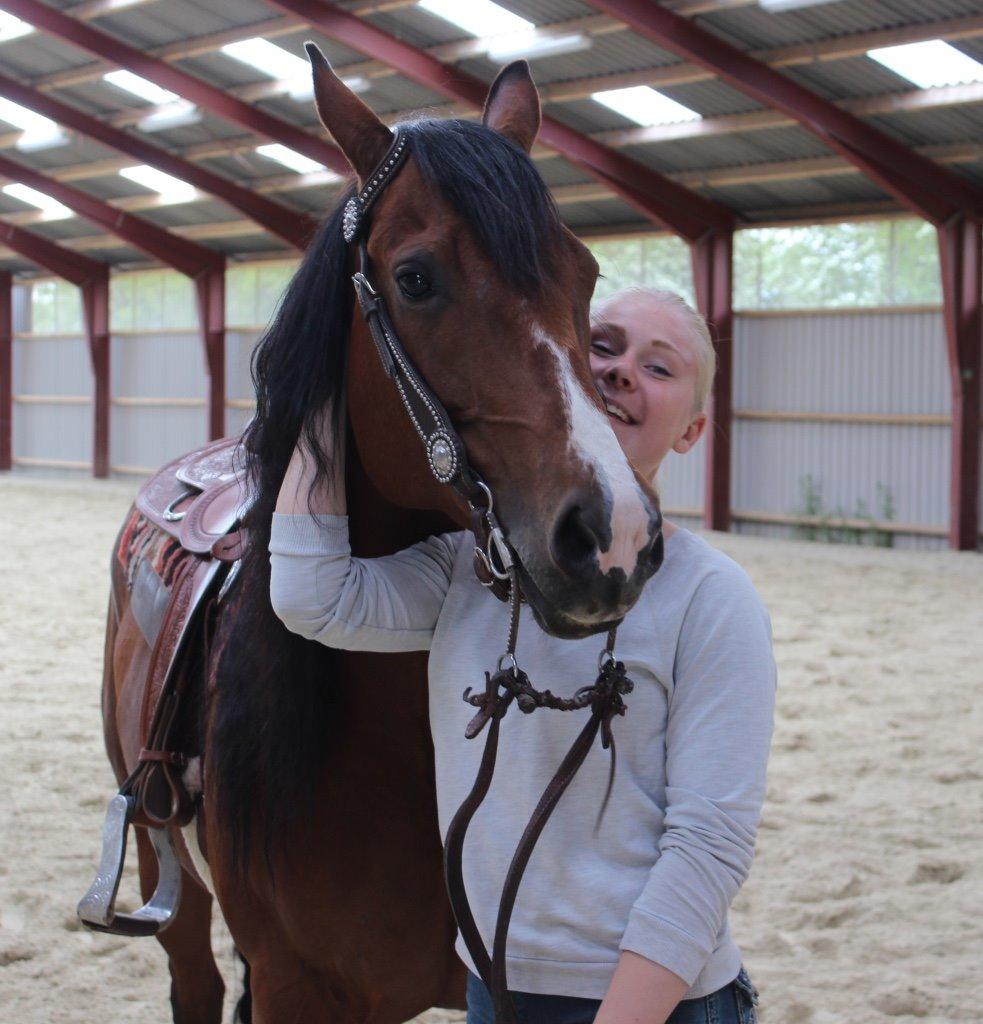 Quarter Tag This Chic - 2. hesteprøvning da vi netop havde besluttet at det skulle være hende. billede 10