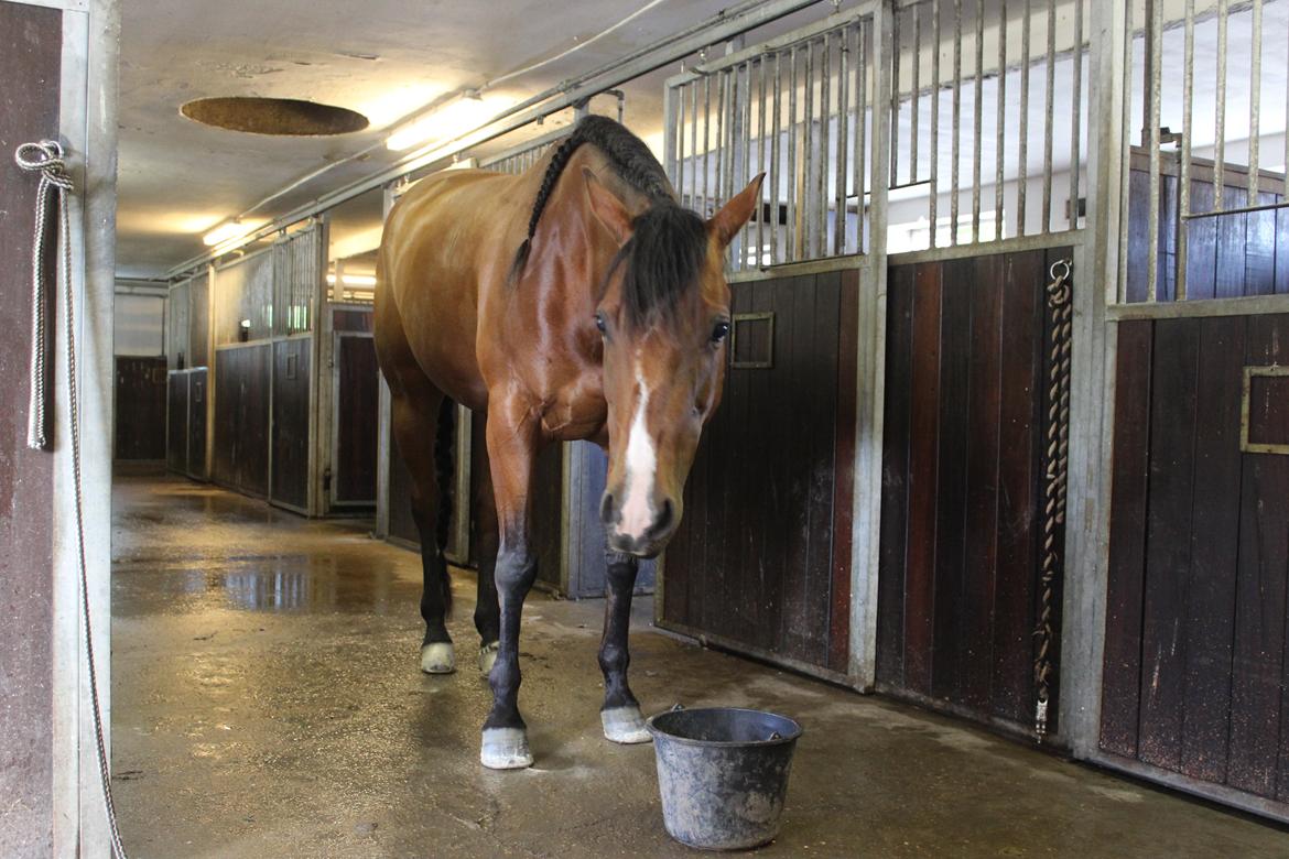 Quarter Tag This Chic - Middagsfodring <3 billede 11