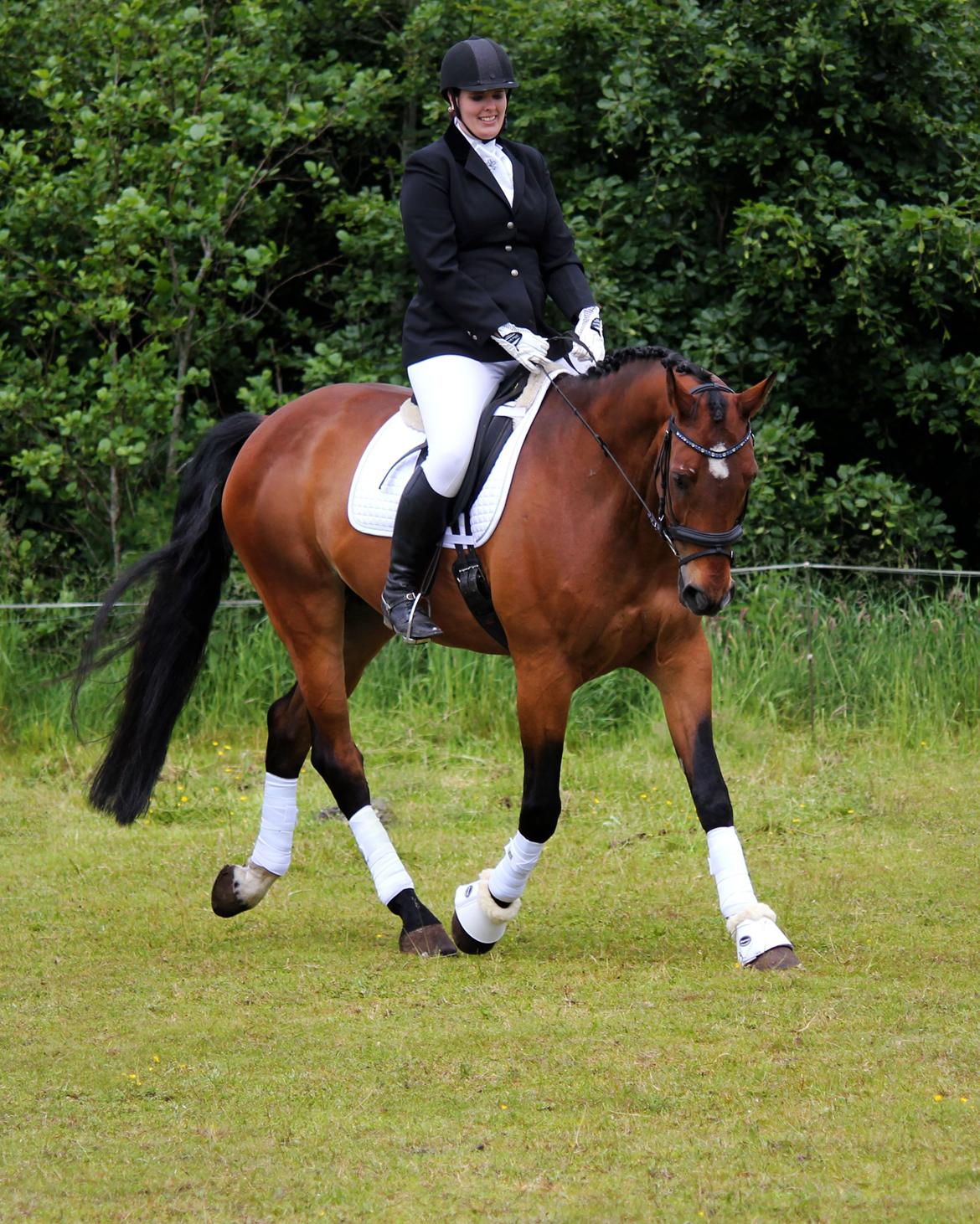 Anden særlig race Dalvangs Casper - Dressur stævne på Fredensberg :) billede 49