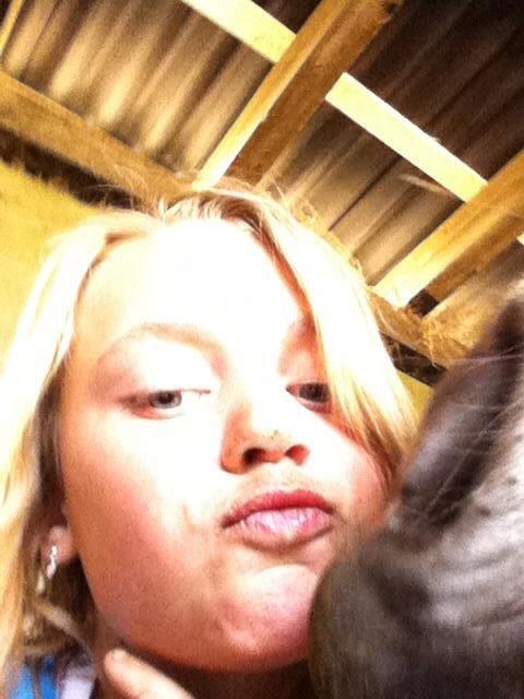 Fjordhest RIP Hirse stanstorp billede 16