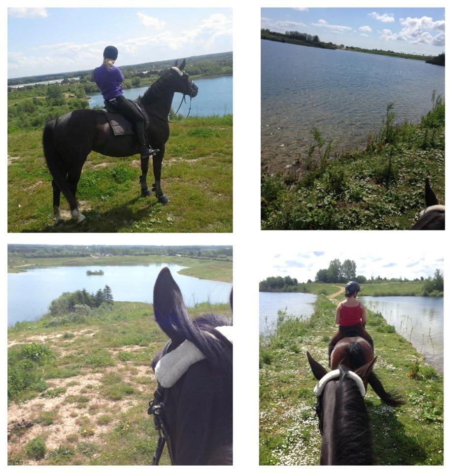 Anden særlig race Troja Lindemose - På vores tur til 'bjerget' - faktiastisk med en masse galop i naturen og skridte en masse ved veje. Hun var så fin og sagde intet til noget af det. Hun nød det! billede 19