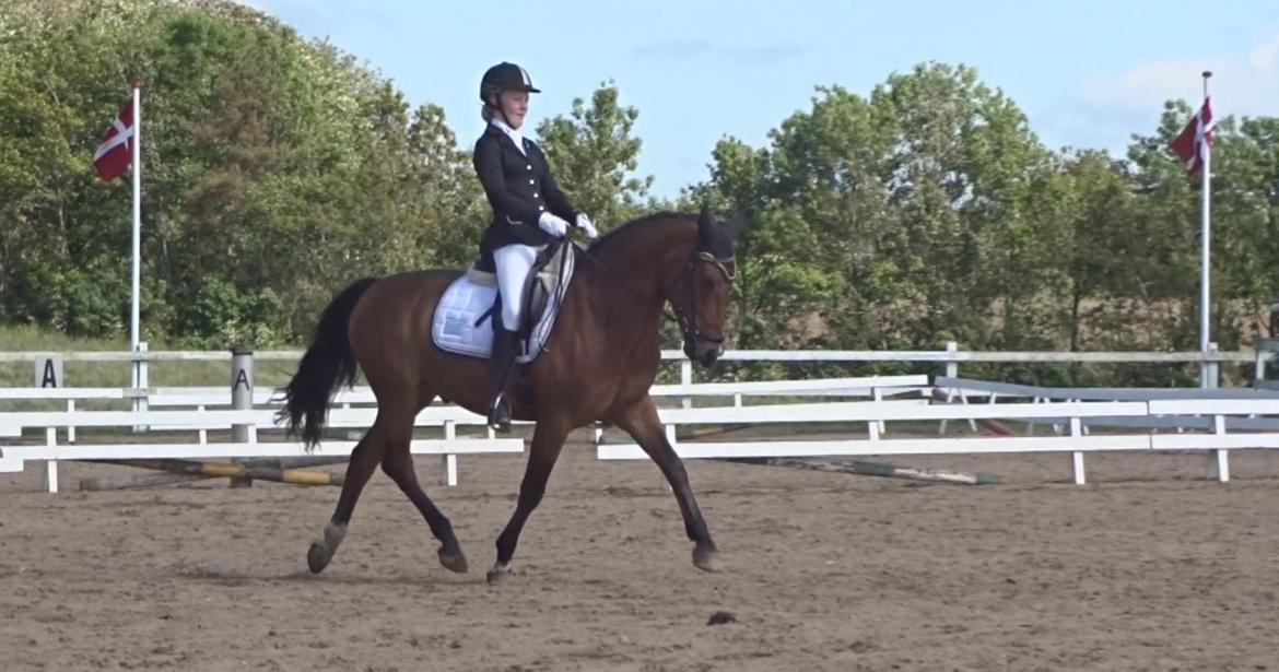 DSP Kenobi - LA3 billede 5