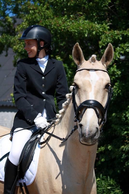 Palomino MiTho's Daywalker billede 23