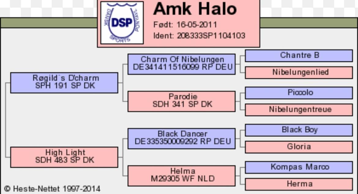 Tysk Sportspony AMK's Halo - Hendes stamtavle :) billede 19
