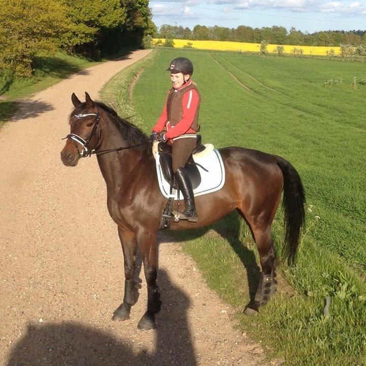 Oldenborg Ice Bell billede 3