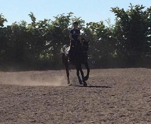 Oldenborg Ice Bell billede 6