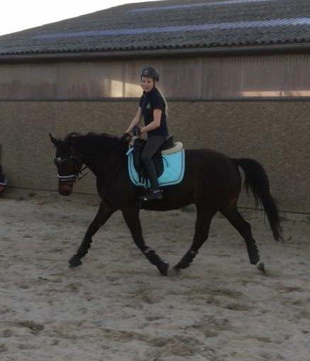 Oldenborg Ice Bell billede 8