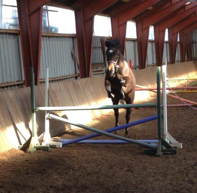 Oldenborg Ice Bell billede 12