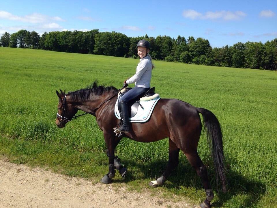 Oldenborg Ice Bell billede 15