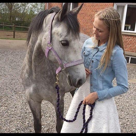 DSP Haahrs Toscana. Dagligt kaldt Tosse "SOLGT" - Konfirmation. min smukke prinsesse billede 4