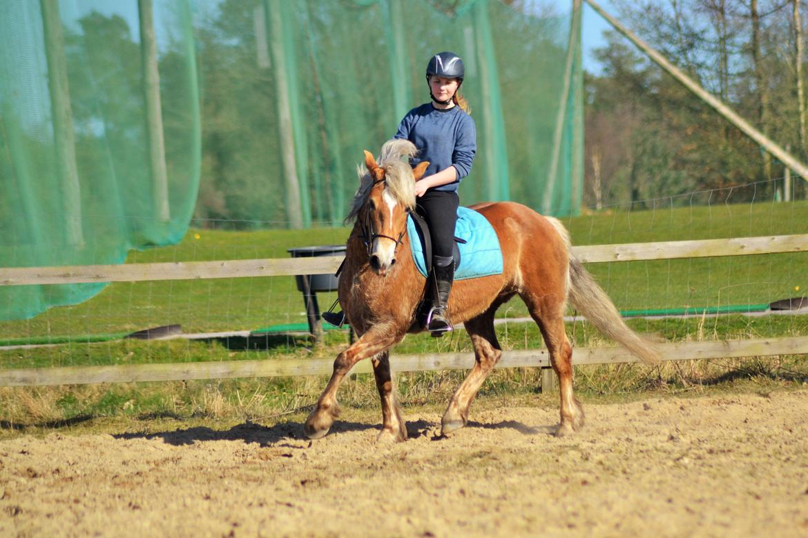 Anden særlig race Pippi - Turbo ponyen billede 7