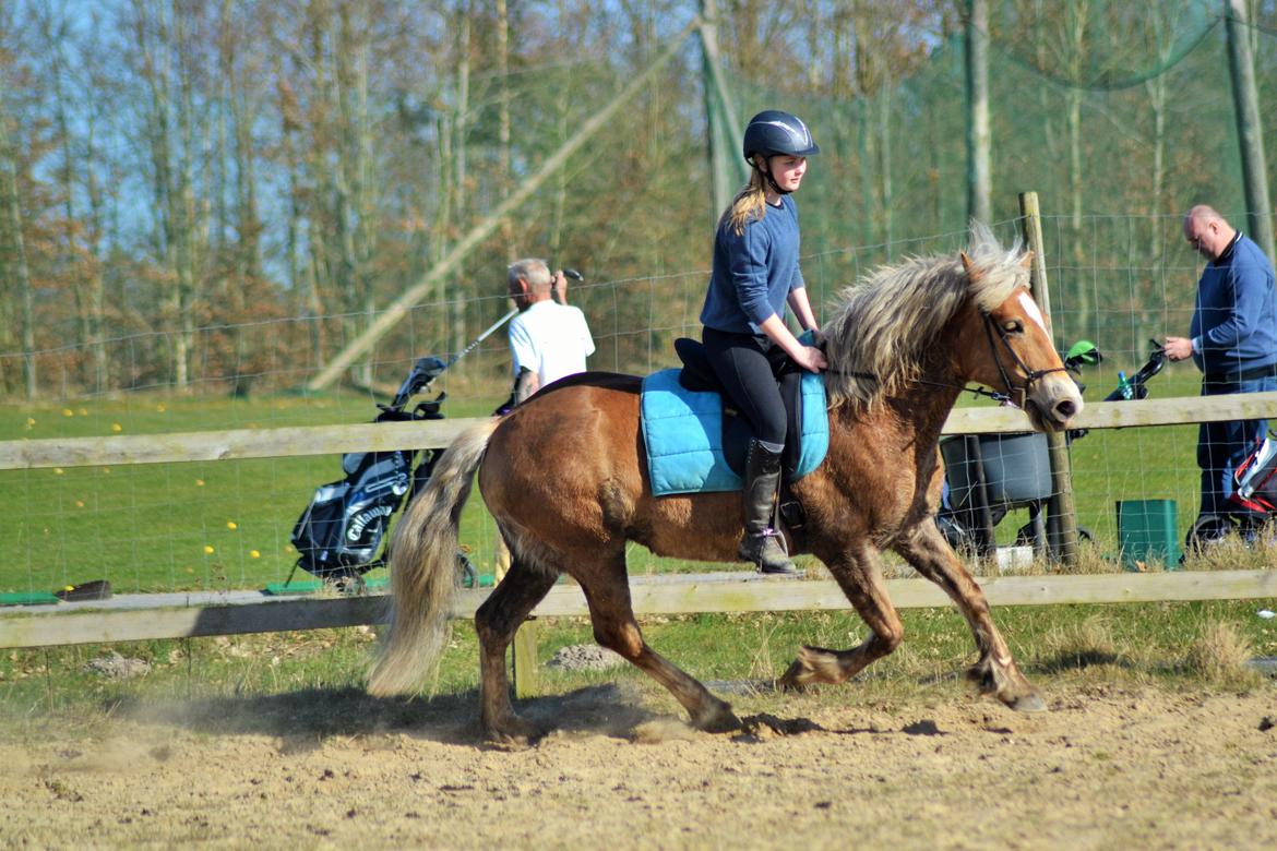 Anden særlig race Pippi - Turbo ponyen billede 9