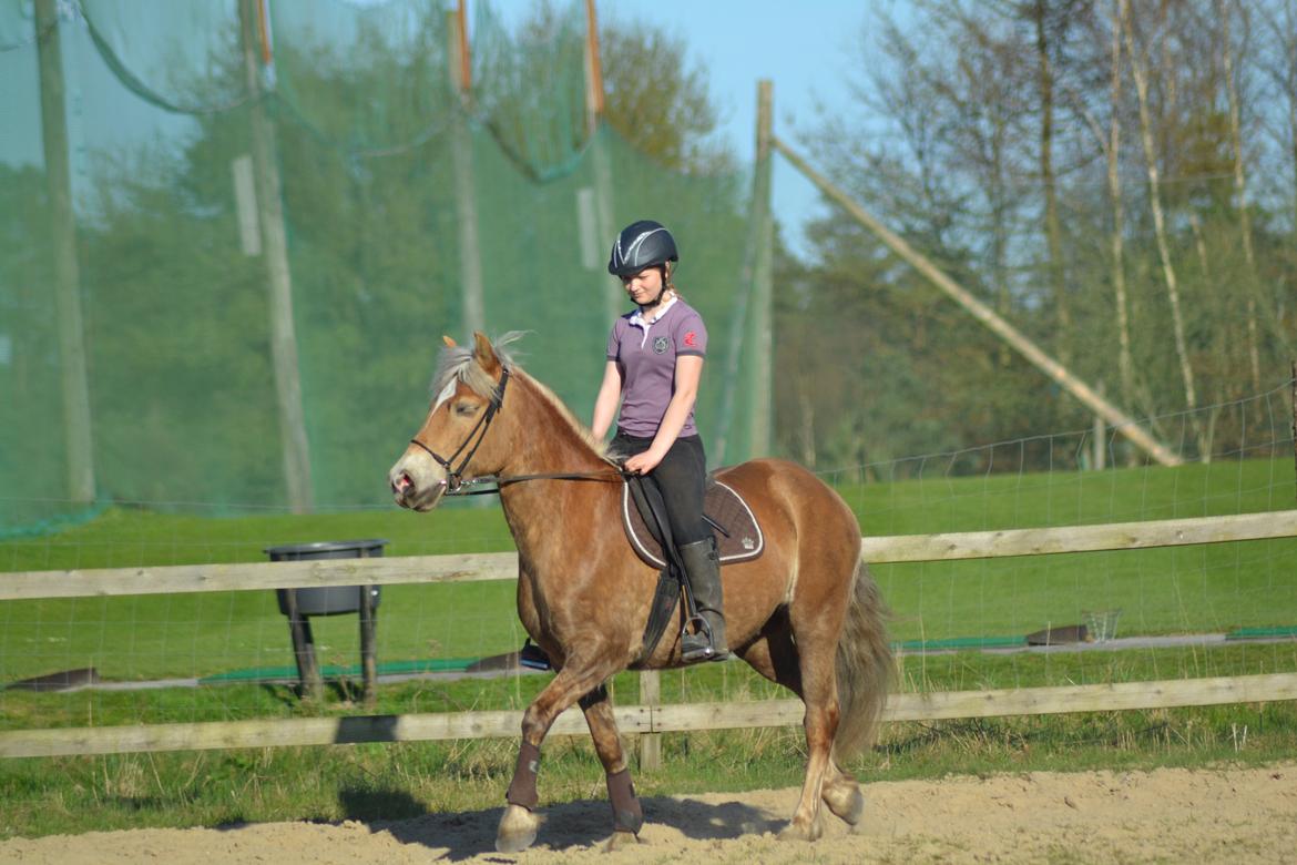 Anden særlig race Pippi - Turbo ponyen billede 14