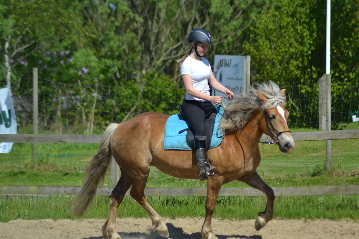 Anden særlig race Pippi - Turbo ponyen billede 15