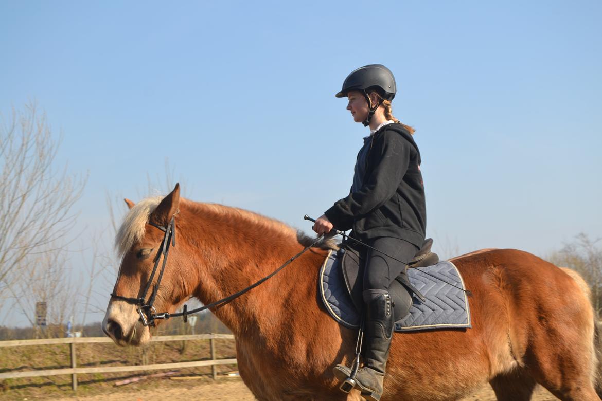 Anden særlig race Pippi - Turbo ponyen billede 13
