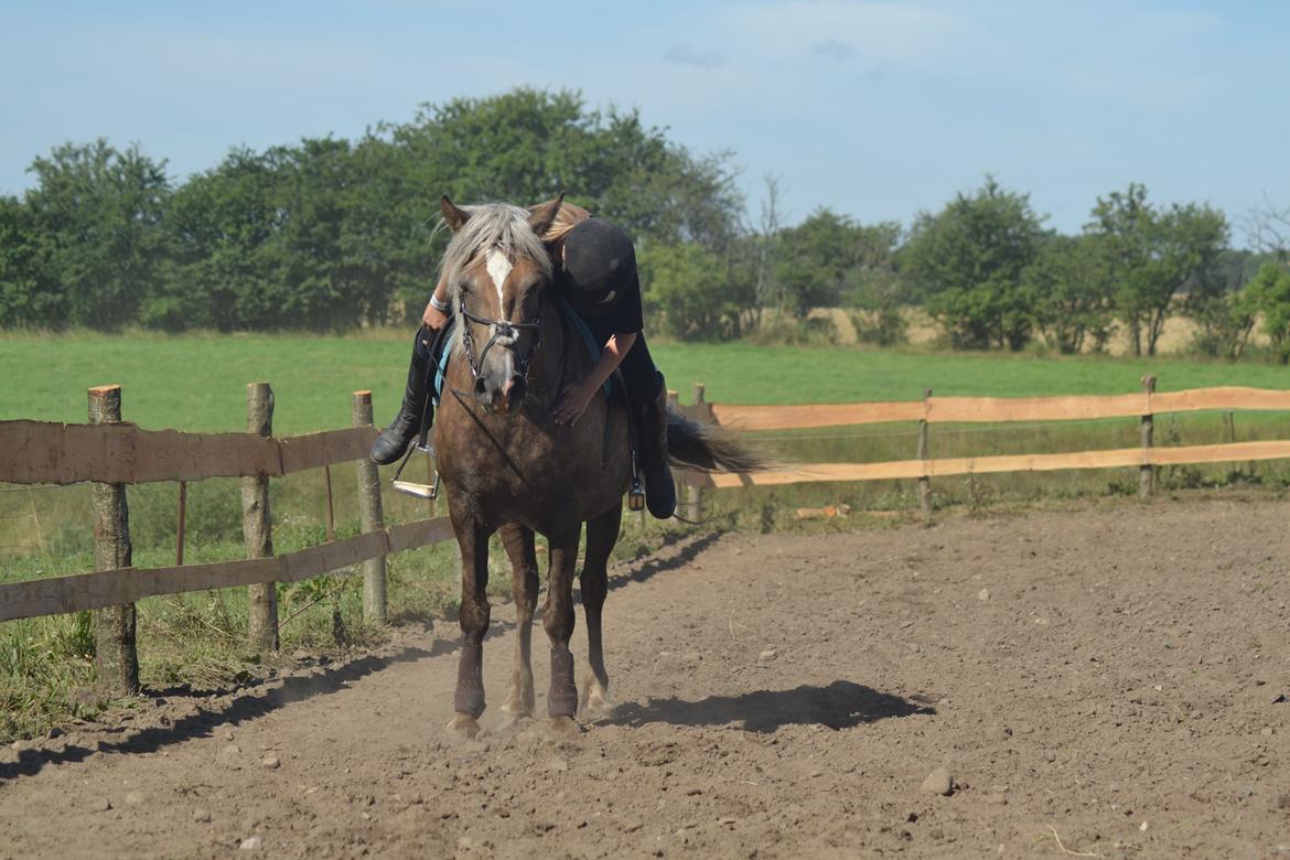 Anden særlig race Pippi - Turbo ponyen billede 18
