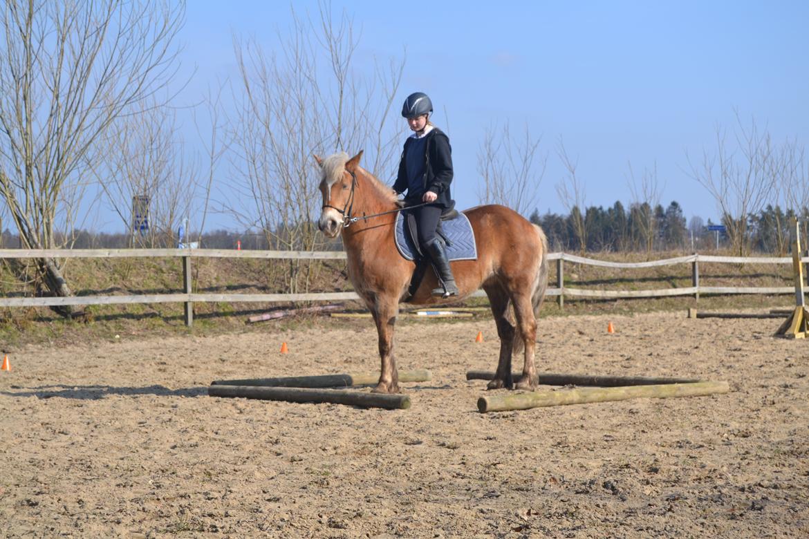 Anden særlig race Pippi - Turbo ponyen billede 19
