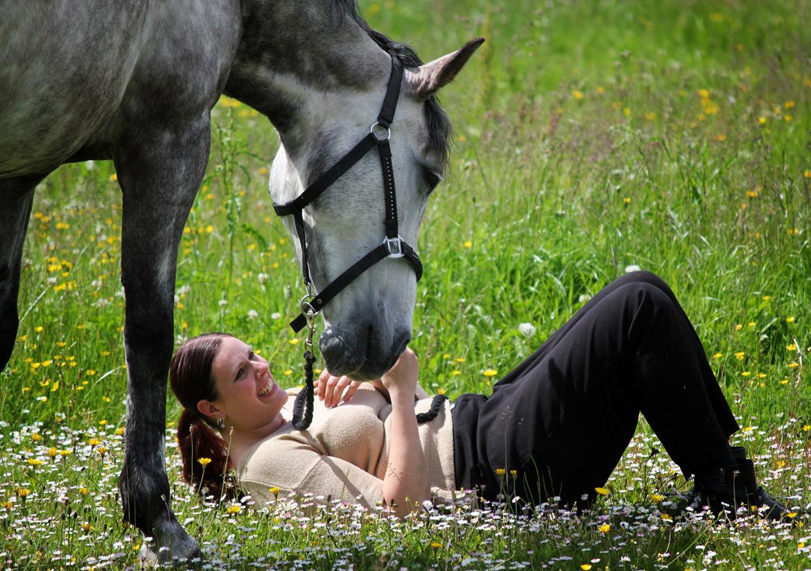 Dansk Varmblod Lambrié Vejen (Avlshoppe) - NYT: Nyder sommeren med min smukke dame :) billede 20