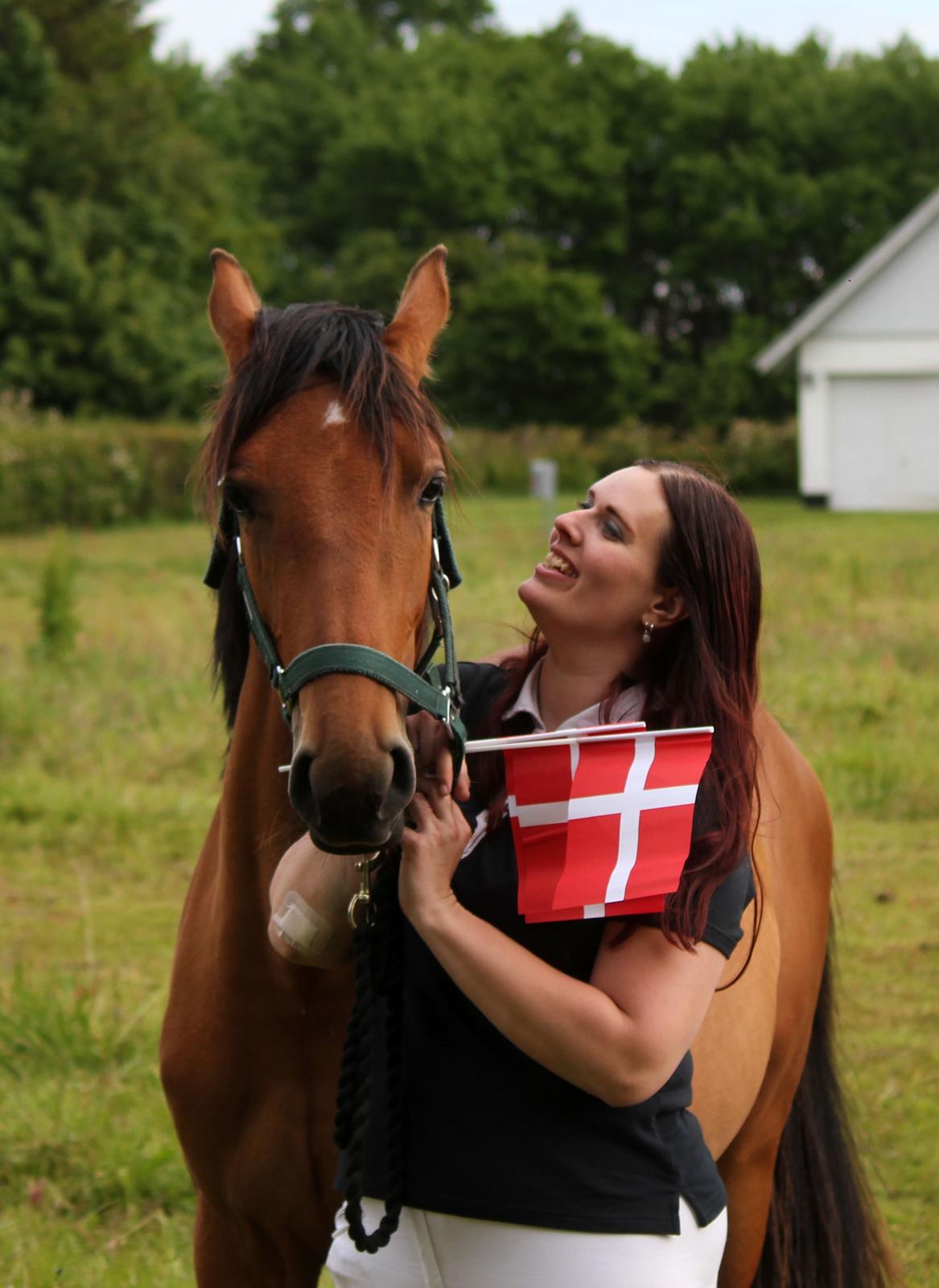 Dansk Varmblod Angel of music (SOLGT) *For evigt elsket <3* - NYT: Tillykke med de 2 år d.21/6 2015 :) billede 16