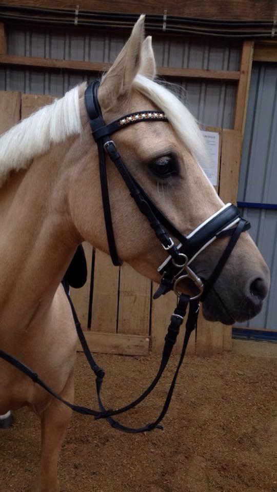 DSP Attention billede 5