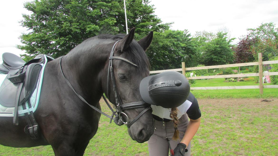 Frieser Griet Mieke billede 19