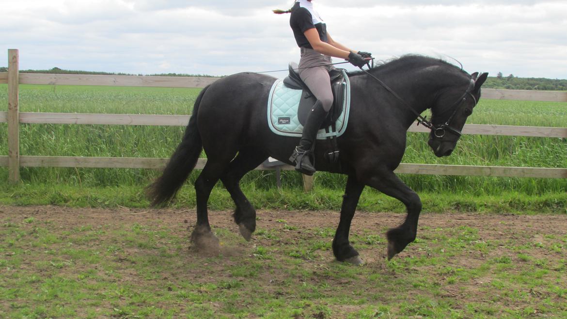 Frieser Griet Mieke billede 12