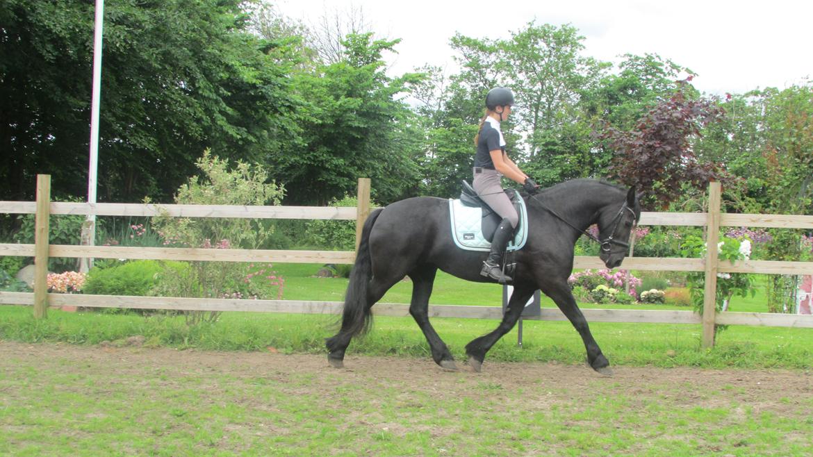 Frieser Griet Mieke billede 18