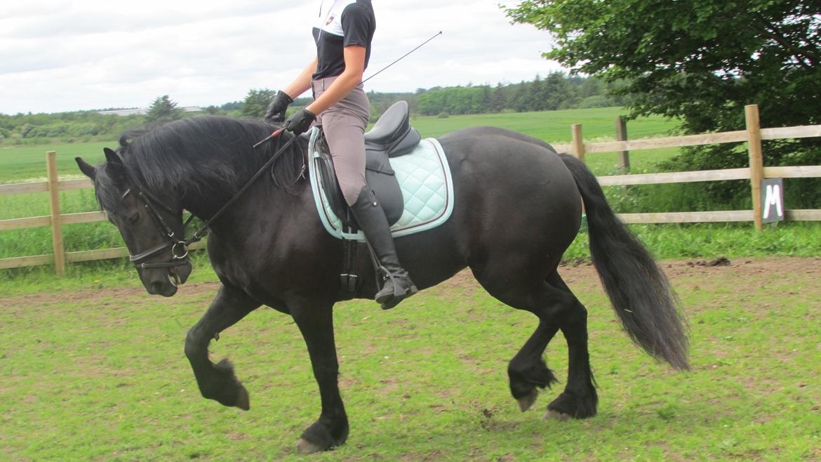 Frieser Griet Mieke billede 16