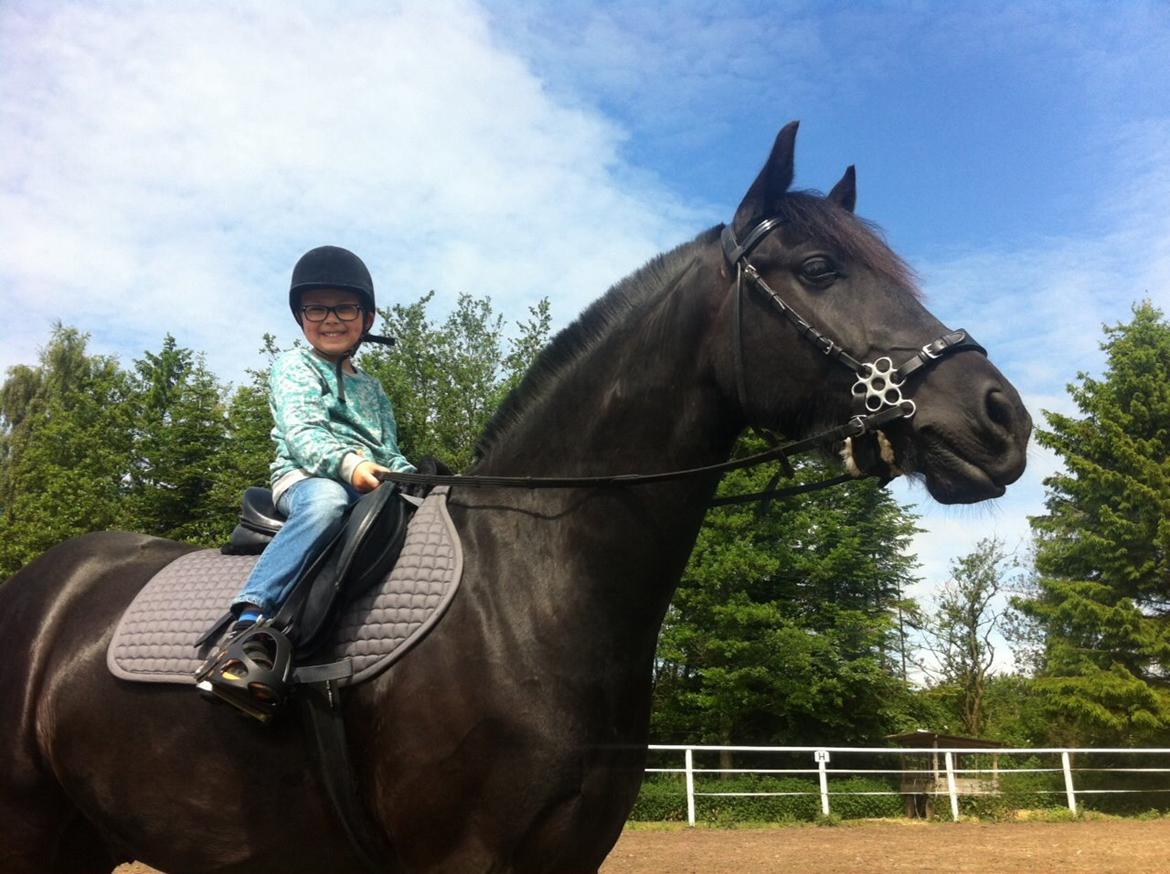 Anden særlig race Bygballegårds Luigi - Gustav 5 år og luigi 3 år ❤️ billede 14