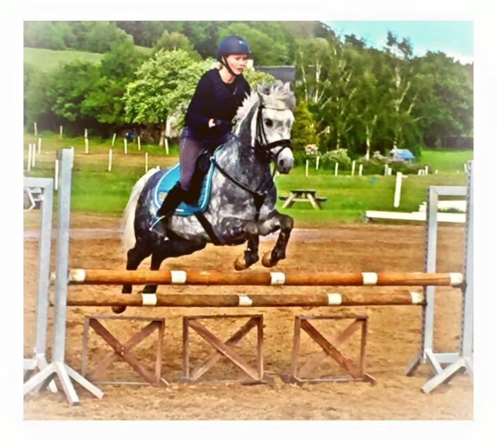 Tysk Sportspony Rebel - Sprinngtræning, han var meg frisk den dag:P billede 14