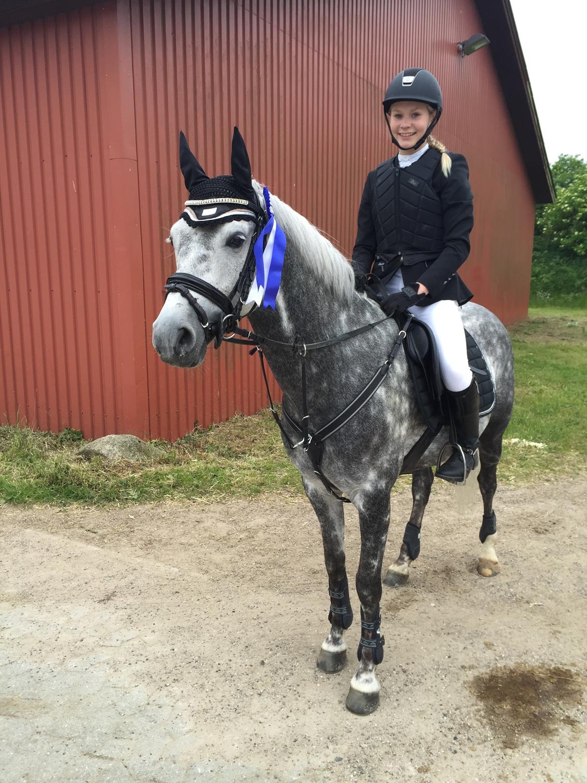 Tysk Sportspony Rebel - Andenplads i LB**<3 billede 23