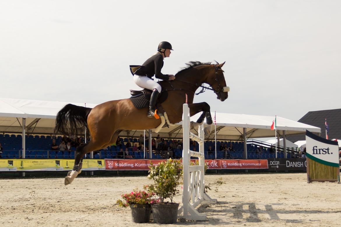 Holstener CHAIO billede 32