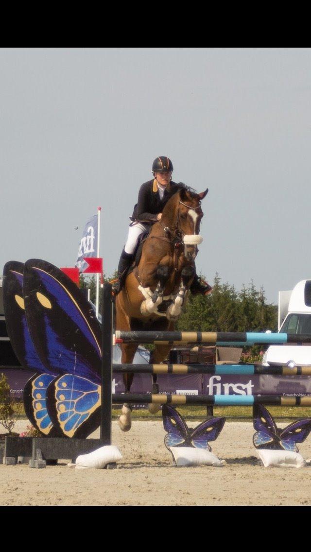 Holstener CHAIO billede 34