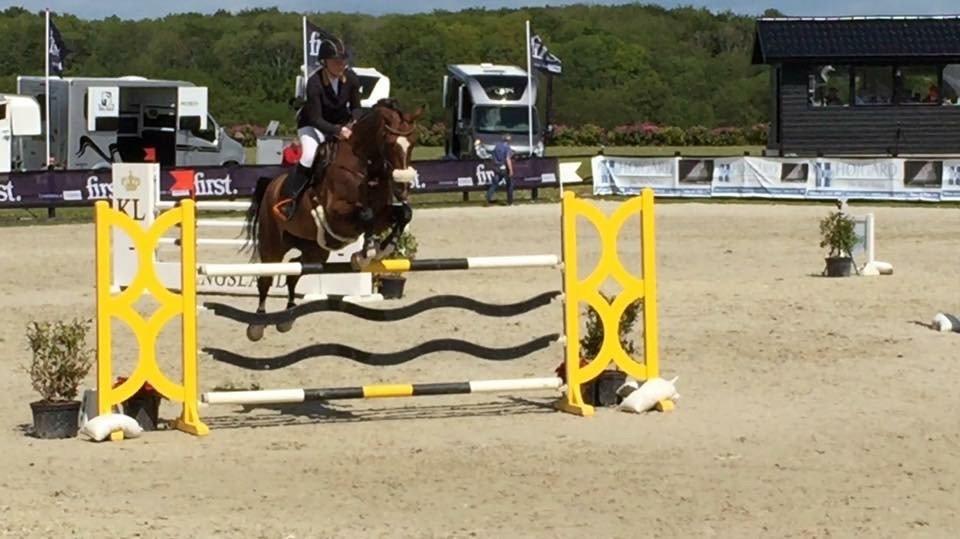 Holstener CHAIO billede 36