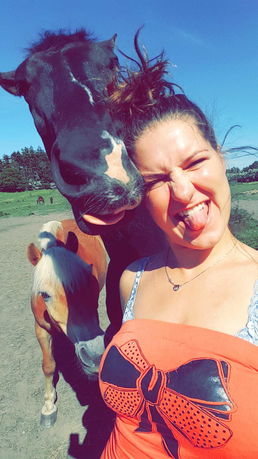 Anden særlig race Crixus billede 3