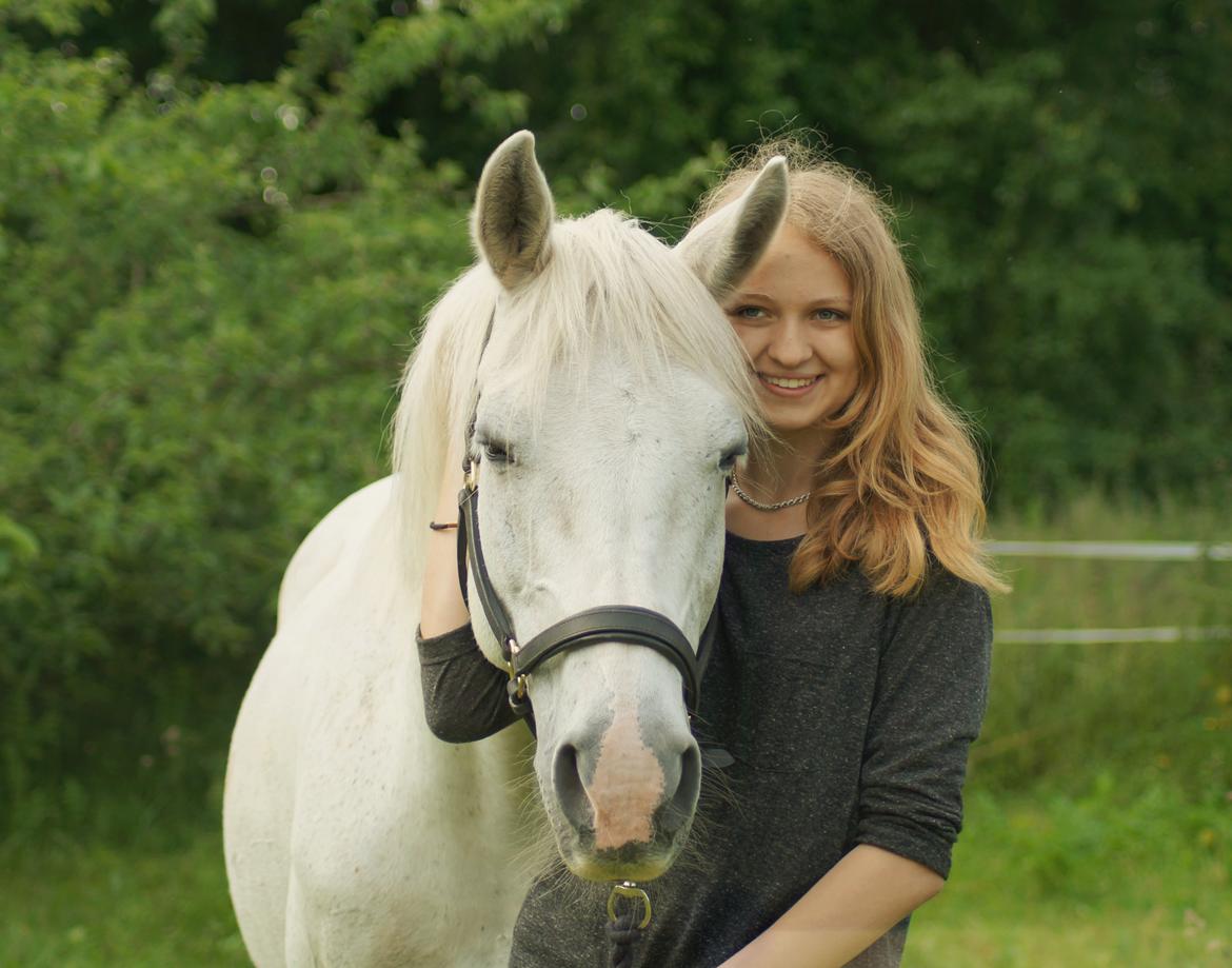 Anden særlig race Laura *Lånehest billede 20