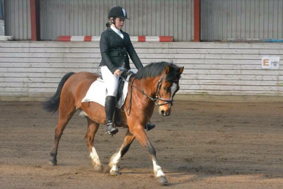 Anden særlig race Play boy *plypper* *my Best frinds for ever* BFF billede 12