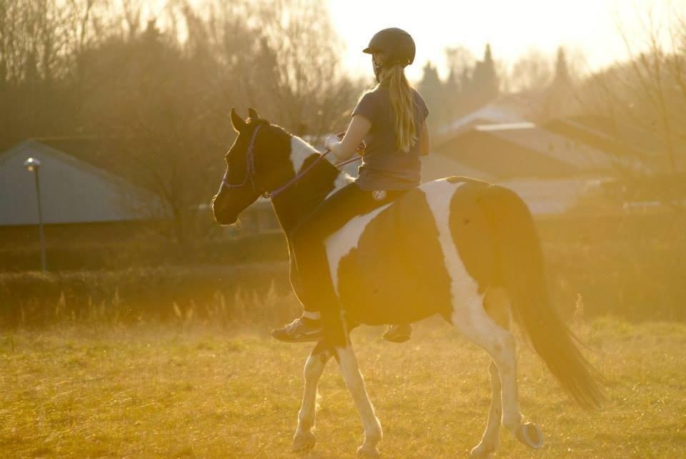 Paint Eskelunds Helga <3  - En magisk aften med min bedste ven <3  billede 27