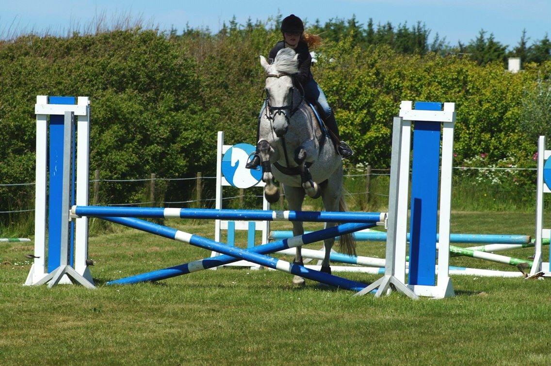 Holstener Shakira 273 billede 14