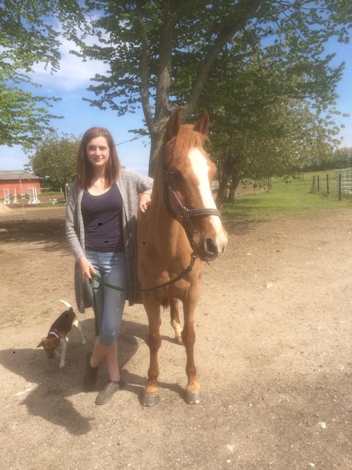 Anden særlig race Dilly  billede 12